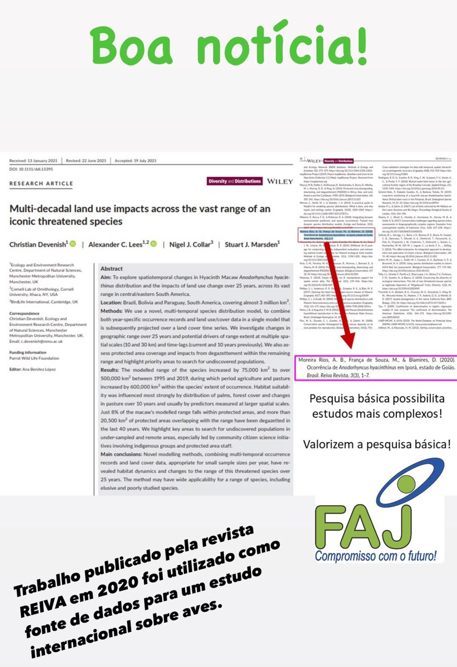 artigo reiva