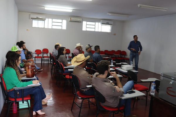 Palestra desafios 3