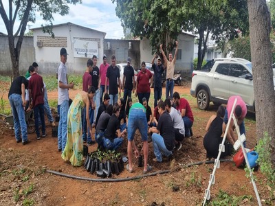 PLANTIO DE MUDAS 2025 5