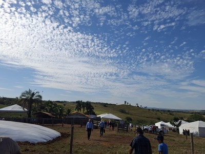 DIA CAMPO SENAR 2025 1