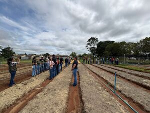 aula pratica agron 2026 1 MARISCOUT 5